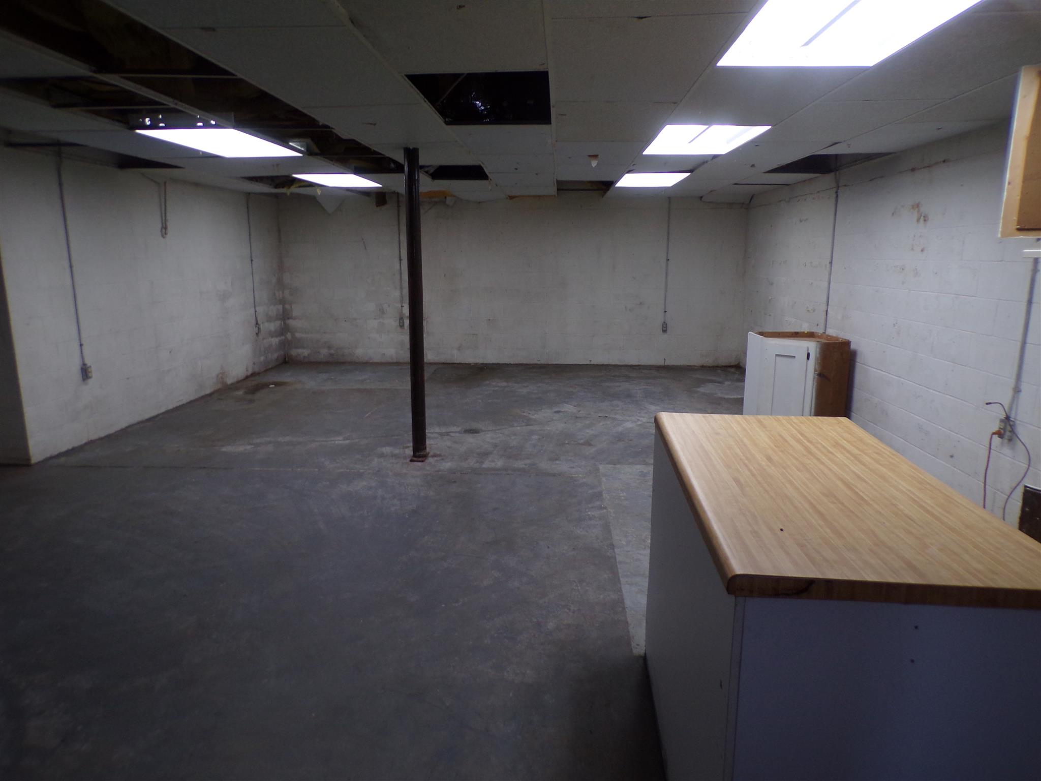 2117 Fall River Road Leoma, TN 38468 - Photo 16 of 24 Basement Basement