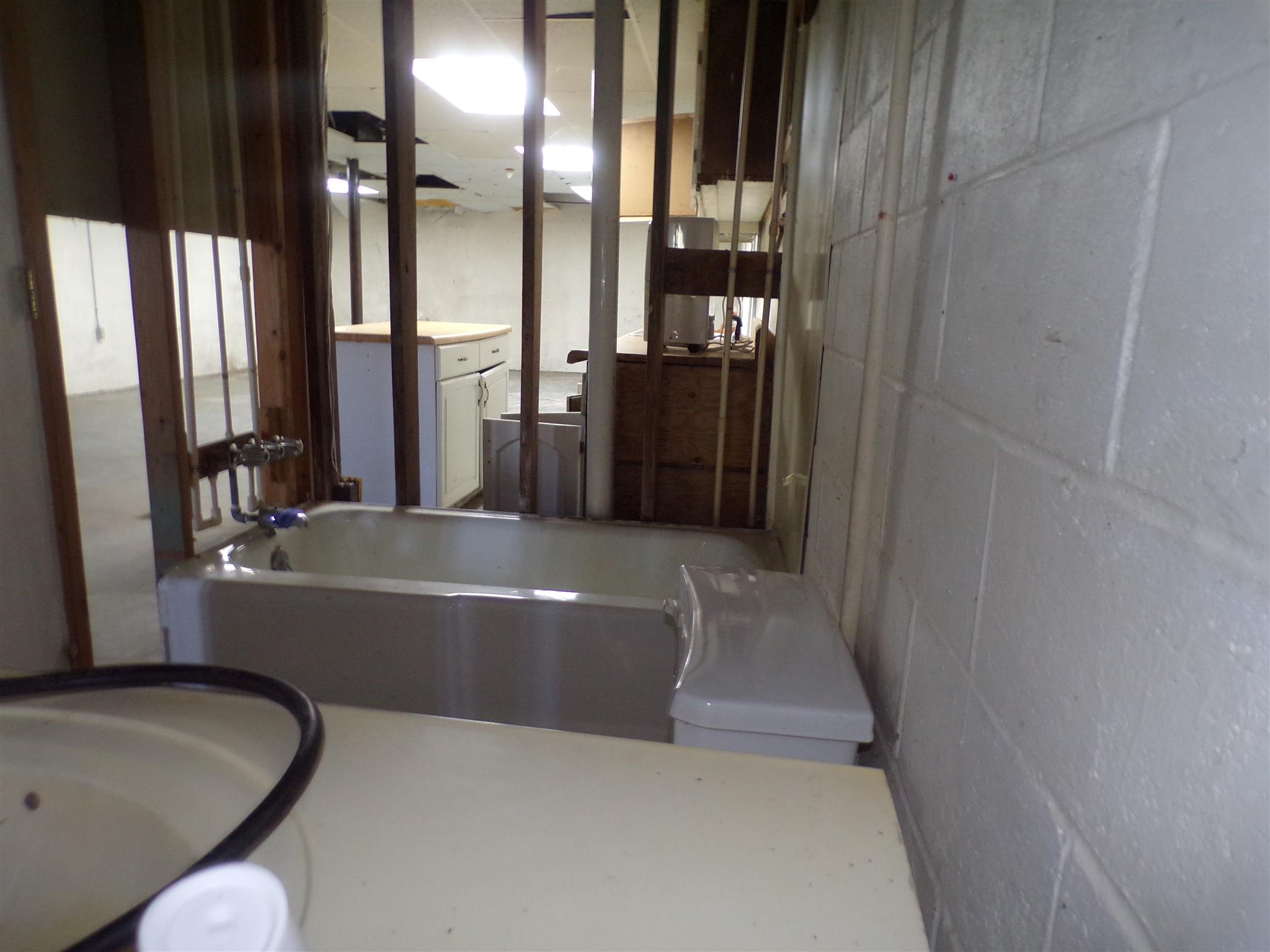2117 Fall River Road Leoma, TN 38468 - Photo 19 of 24 Basement