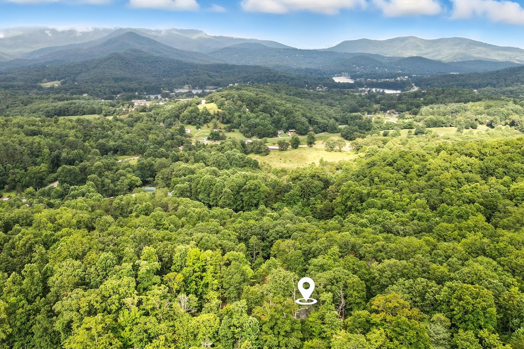 2373 Rainbow Ridge Road Hiawassee, GA 30546 - Photo 40 of 41 Gallery Image 40