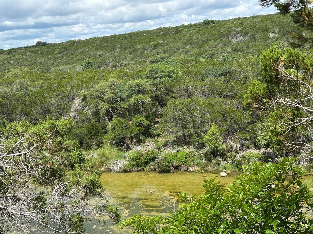 165 Cherry Springs Road Hunt, TX 78024 - Photo 4 of 4 a view of a field with an ocean