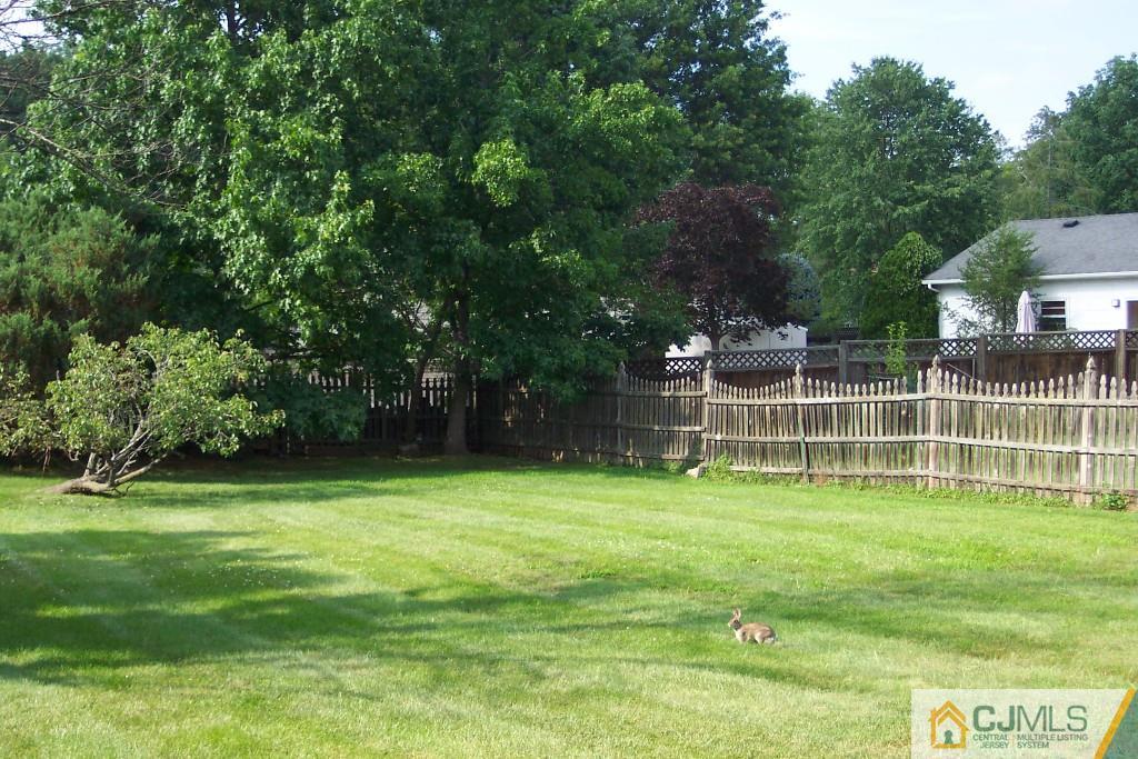 208 Normandy Road Edison, NJ 08820 - Photo 22 of 25 a view of a small yard