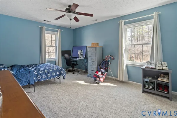 a view of a backyard with large trees and a small yard