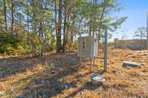 $750,000 | Lot 65 State Highway, Bastrop, TX 78602
