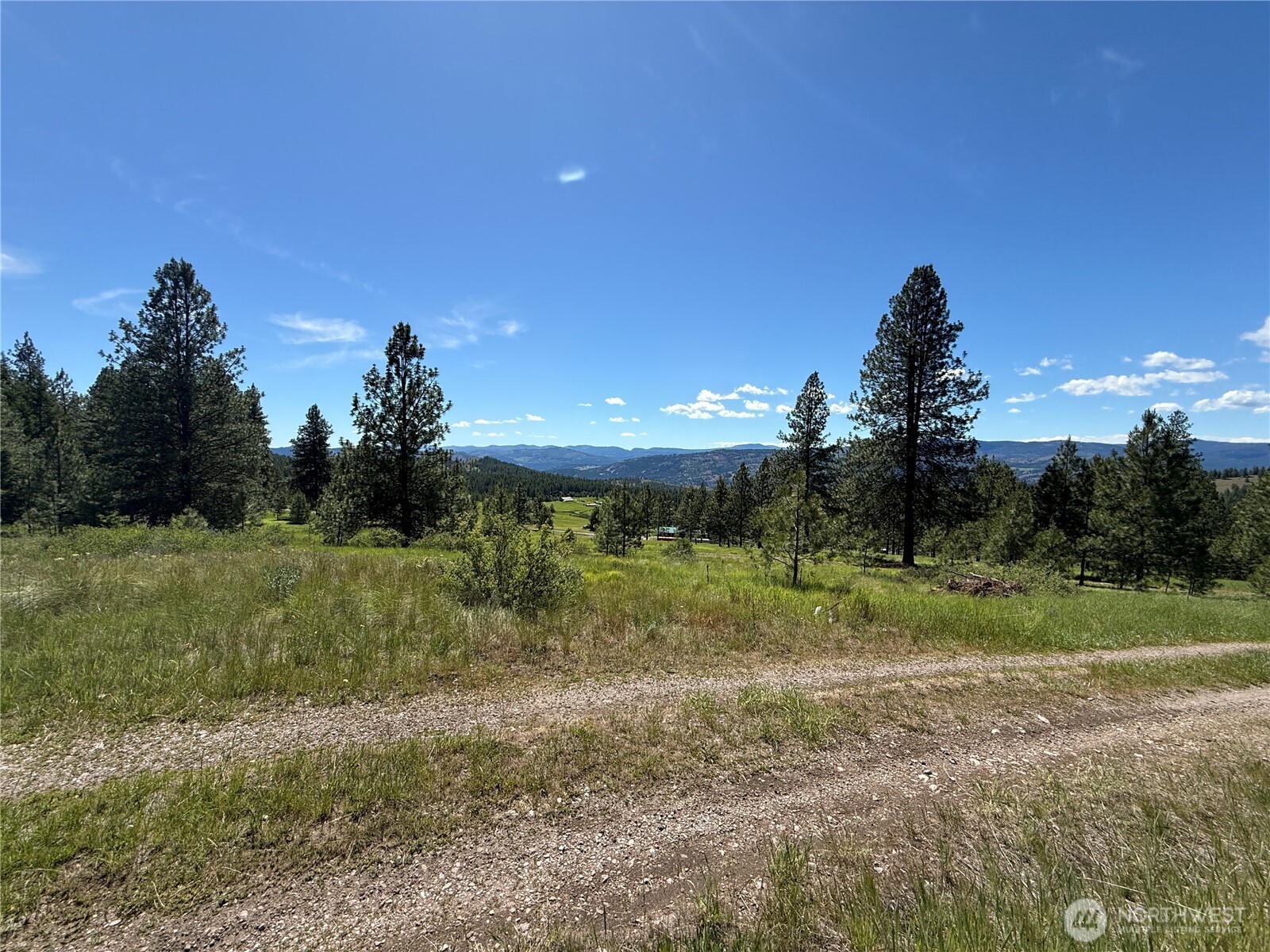 5 Hidden Spring Ranch Road Republic, WA 99166 - Photo 2 of 22