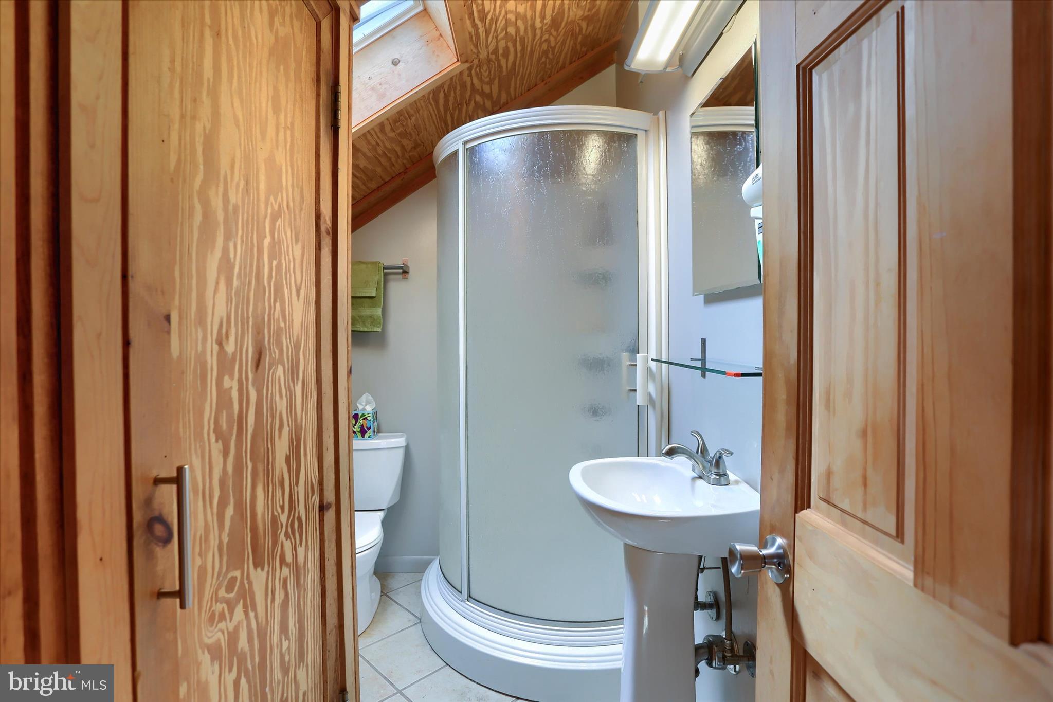 5531 Spring Road Shermans Dale, PA 17090 - Photo 43 of 76 Full bath in apartment.
