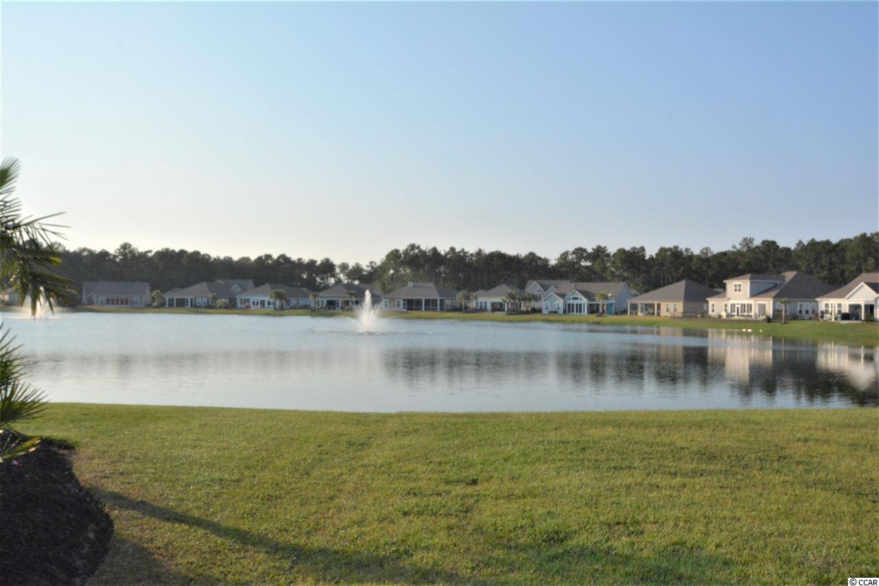 163 Hyacinth Loop Murrells Inlet, SC 29576 - Photo 11 of 40 Gallery Image 11