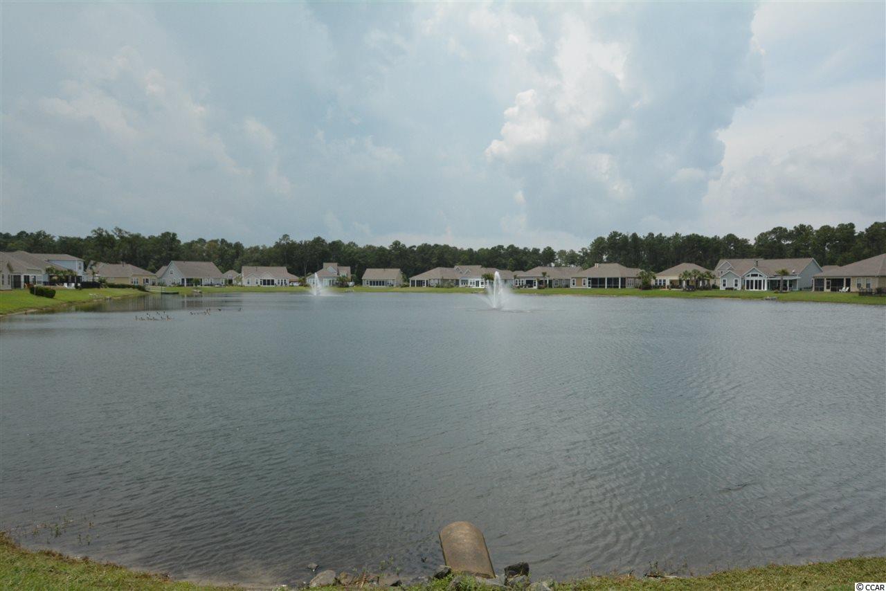 163 Hyacinth Loop Murrells Inlet, SC 29576 - Photo 4 of 40 Gallery Image 4