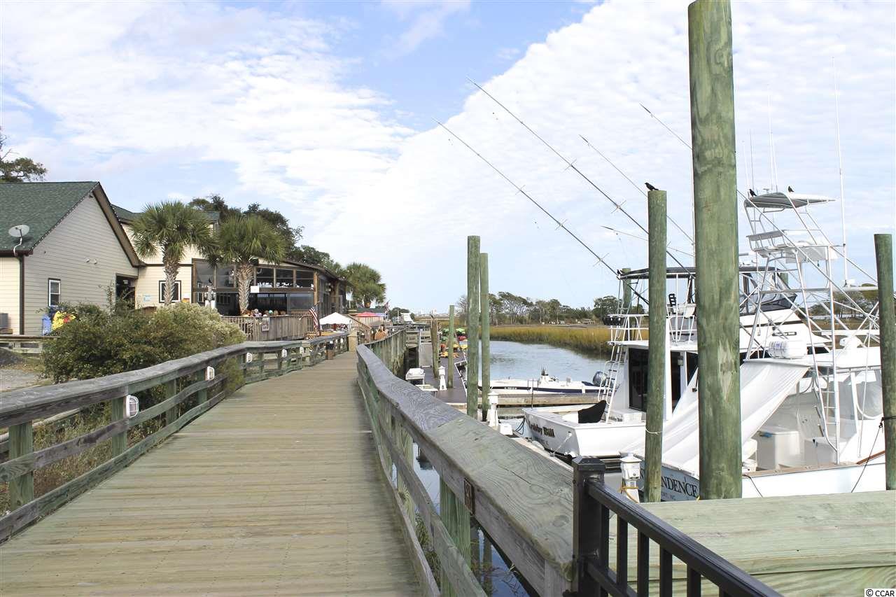 163 Hyacinth Loop Murrells Inlet, SC 29576 - Photo 37 of 40 Gallery Image 37