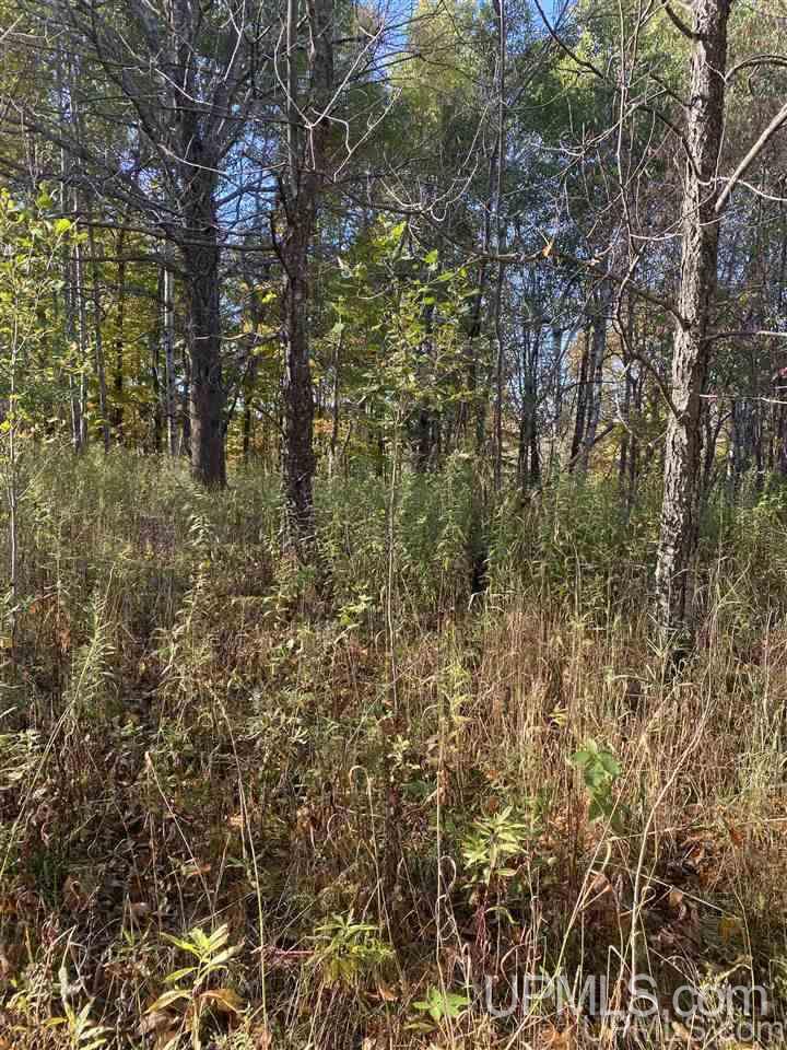 T-wi Wi 54534 Road Hurley, WI 54534 - Photo 7 of 35