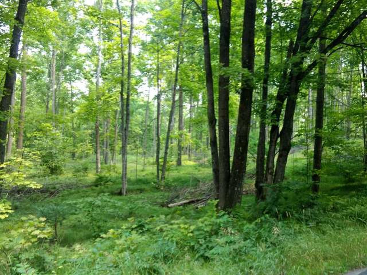 On Kentuck Lake Road Phelps, WI 54554 - Photo 9 of 16 Gallery Image 9