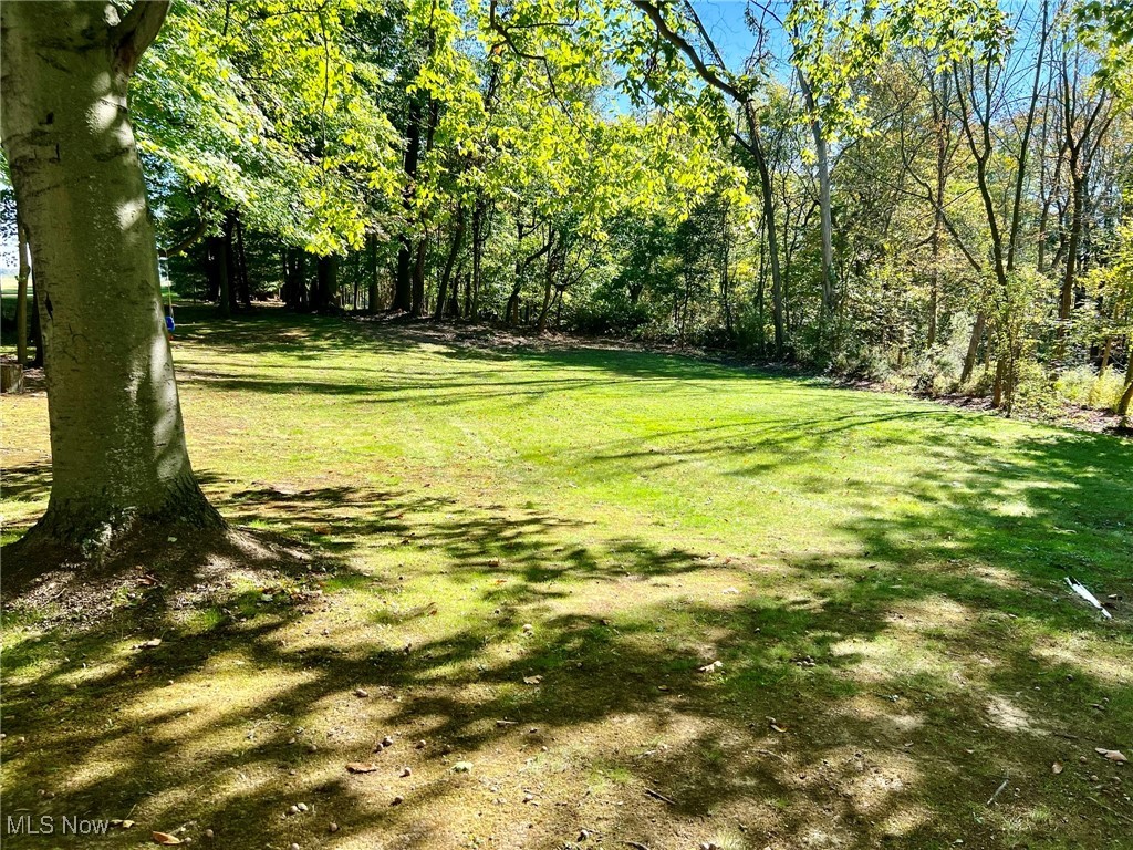 5632 Butler Grange Road Salem, OH 44460 - Photo 7 of 24