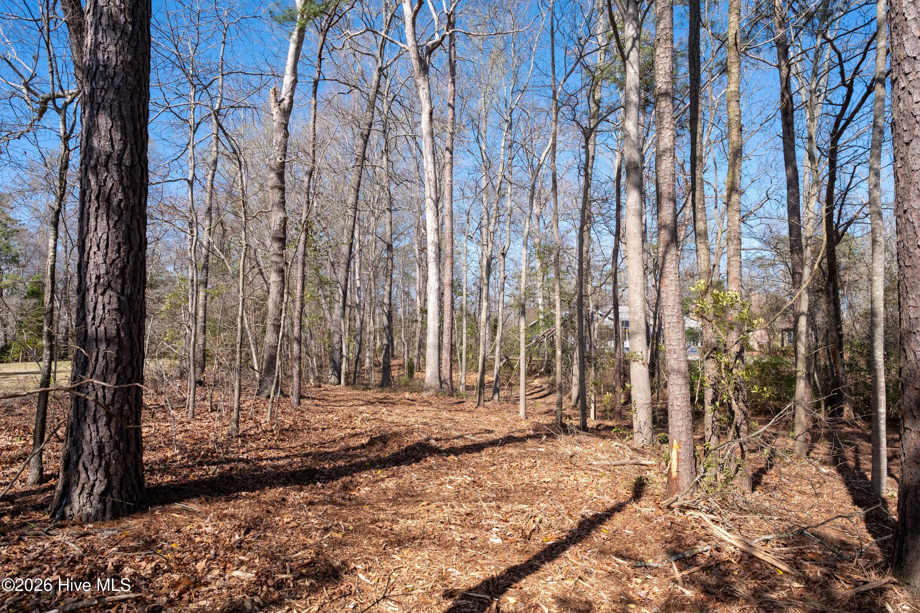 668 Sawmill Landing Road Bath, NC 27808 - Photo 27 of 30 DSCF4115