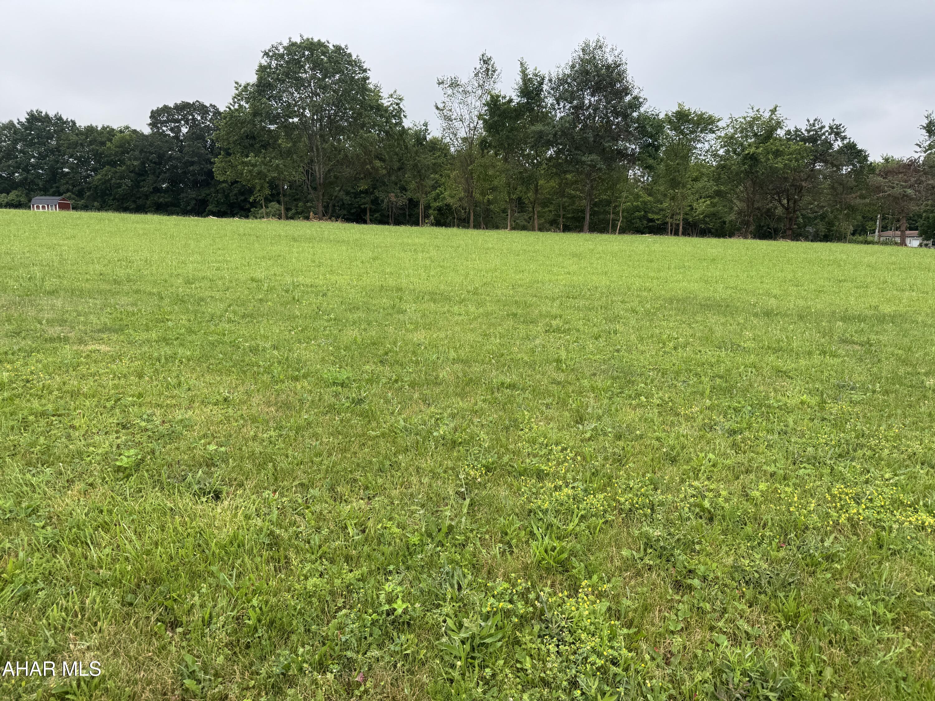 Lot 3 Fiske Road Fallentimber, PA 16639 - Photo 4 of 6 Gallery Image 4