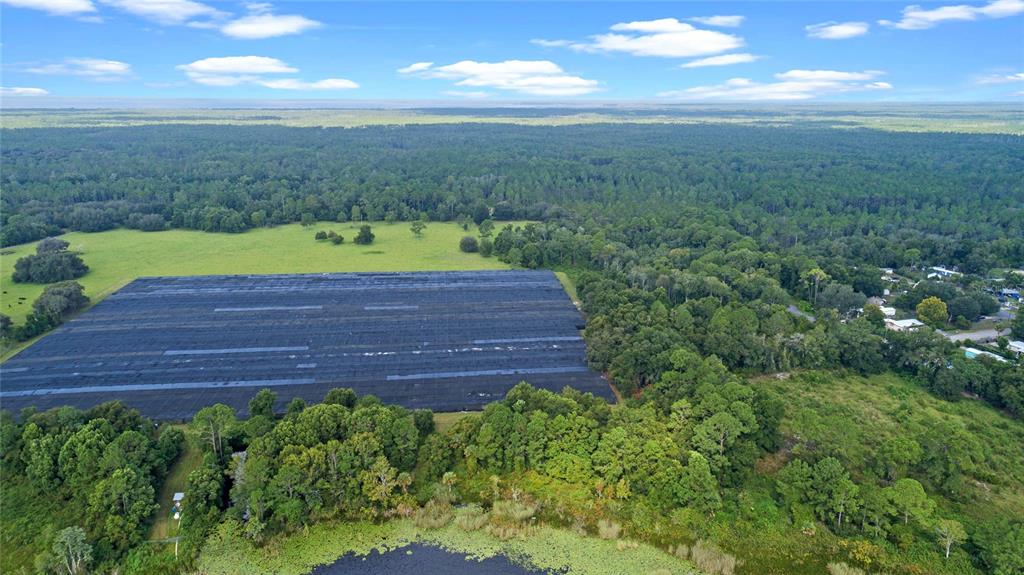 0 Silver Pond Road Seville, FL 32190 - Photo 11 of 18