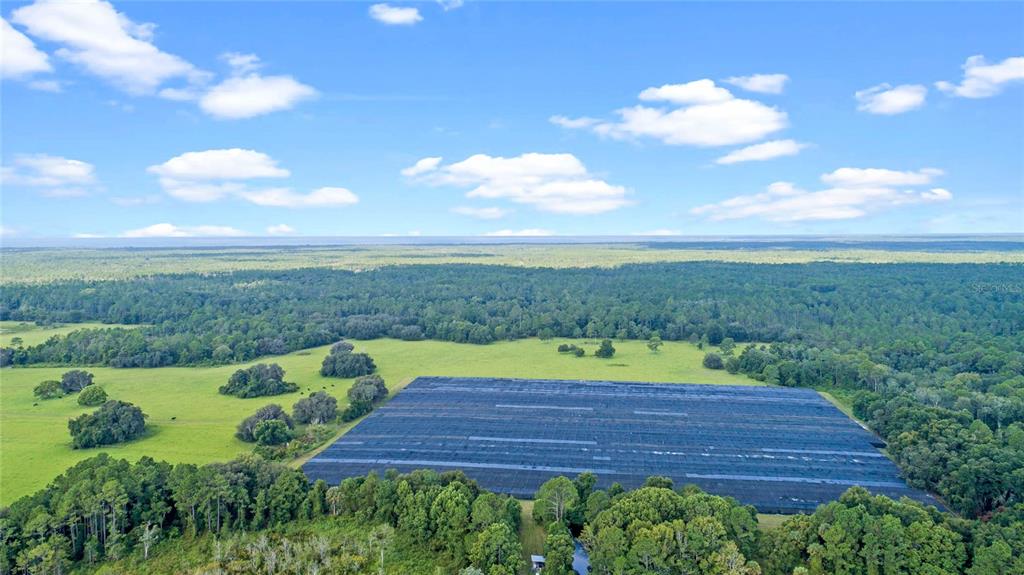 0 Silver Pond Road Seville, FL 32190 - Photo 15 of 18