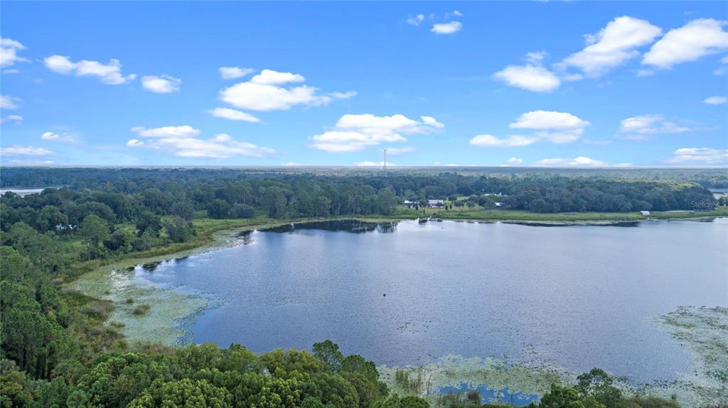 0 Silver Pond Road Seville, FL 32190 - Photo 3 of 18