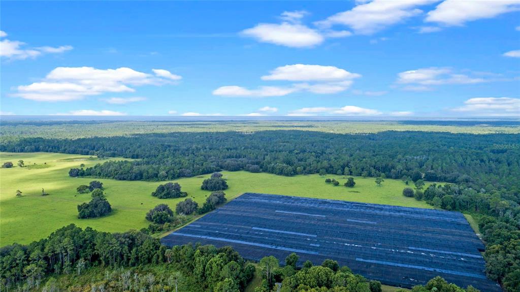 0 Silver Pond Road Seville, FL 32190 - Photo 4 of 18