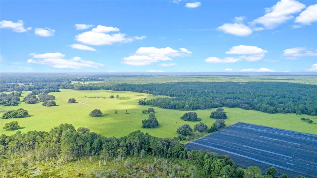 0 Silver Pond Road Seville, FL 32190 - Photo 5 of 18