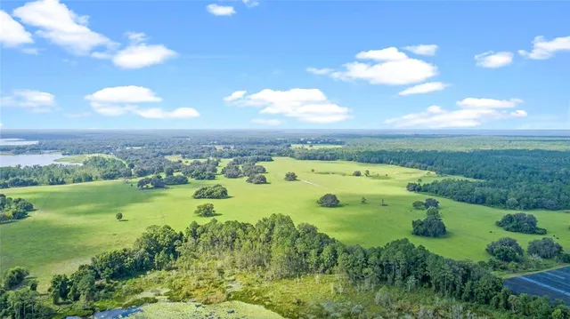 $399,900 | 0 Silver Pond Road, Seville, FL 32190