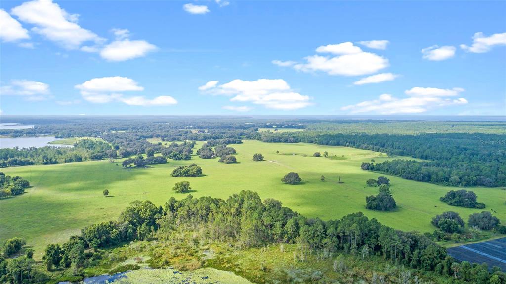 0 Silver Pond Road Seville, FL 32190 - Photo 7 of 18