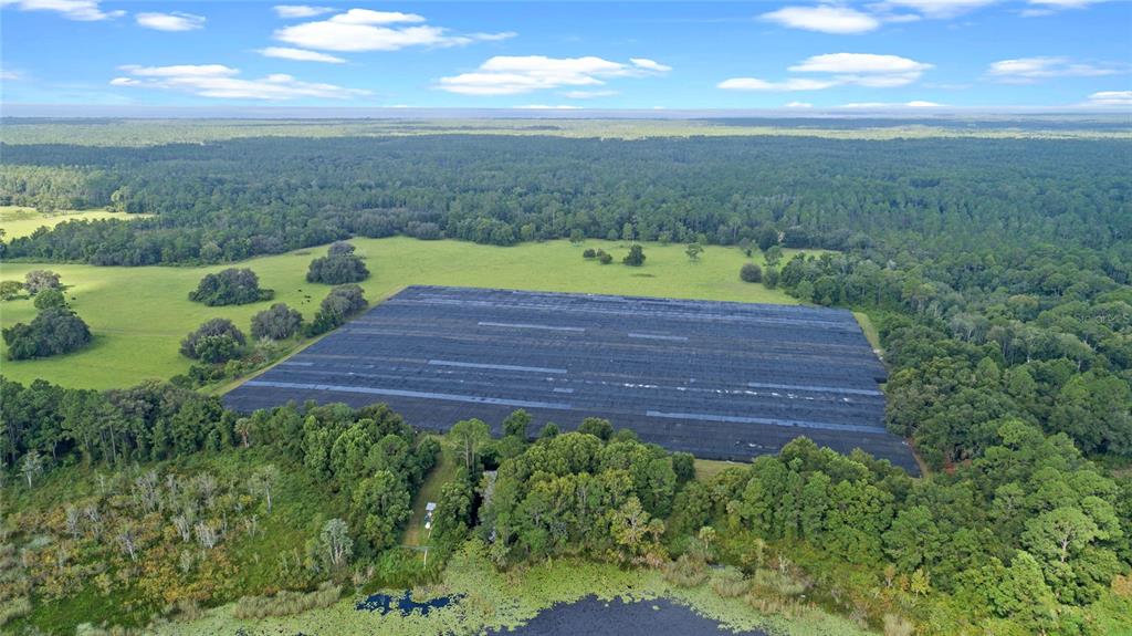 0 Silver Pond Road Seville, FL 32190 - Photo 10 of 18