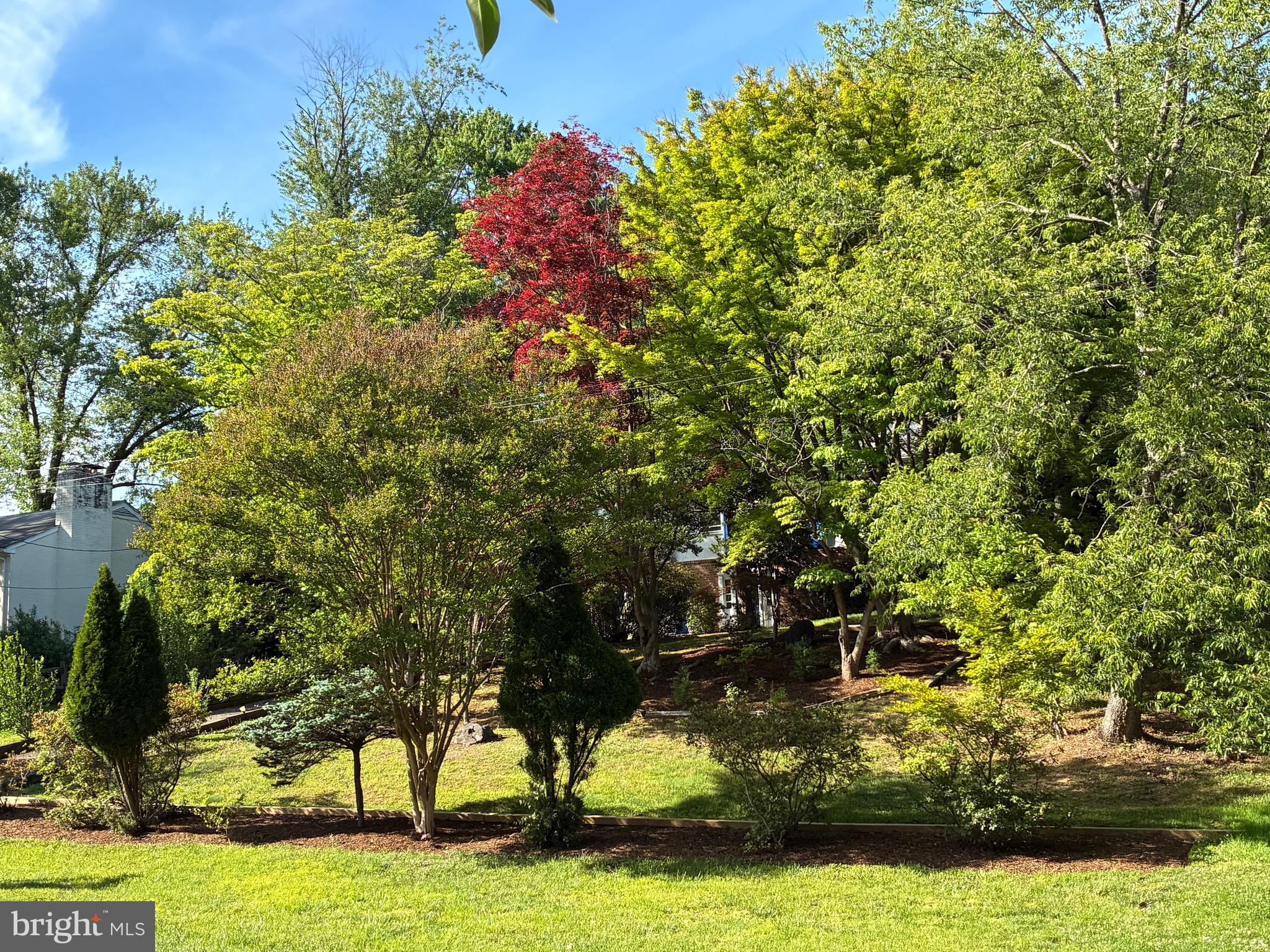 6144 Chesterbrook Road McLean, VA 22101 - Photo 5 of 53