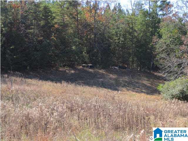 772 Highway 13 Helena Al Helena, AL 35080 - Photo 8 of 8