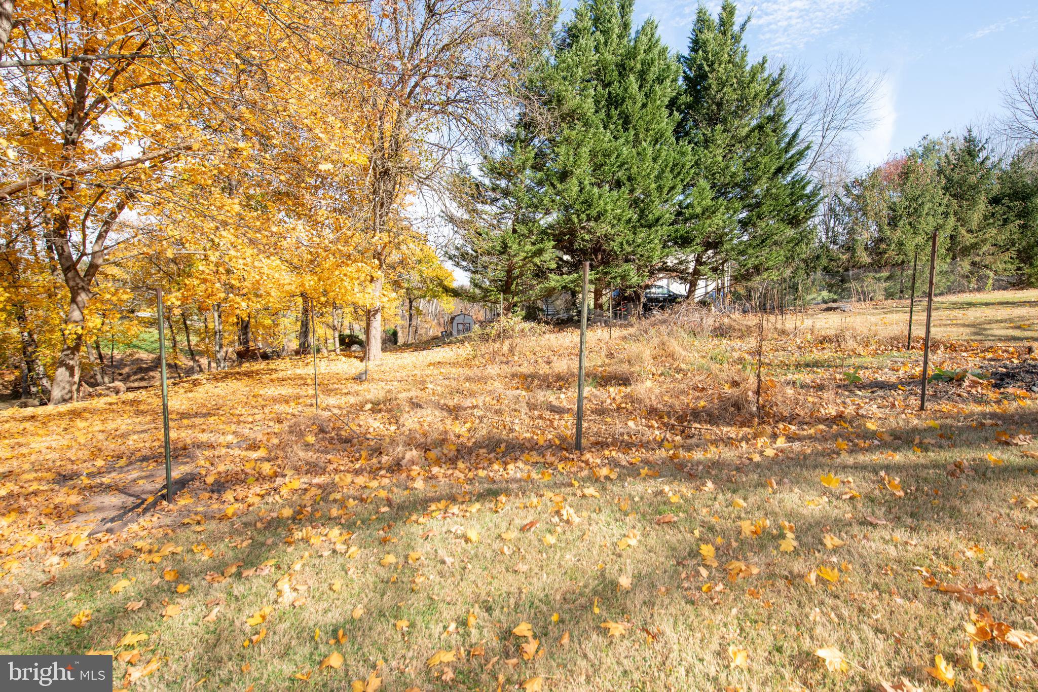 423 Brownsburg Road, Unit W Newtown, PA 18940 - Photo 24 of 109 Backyard
