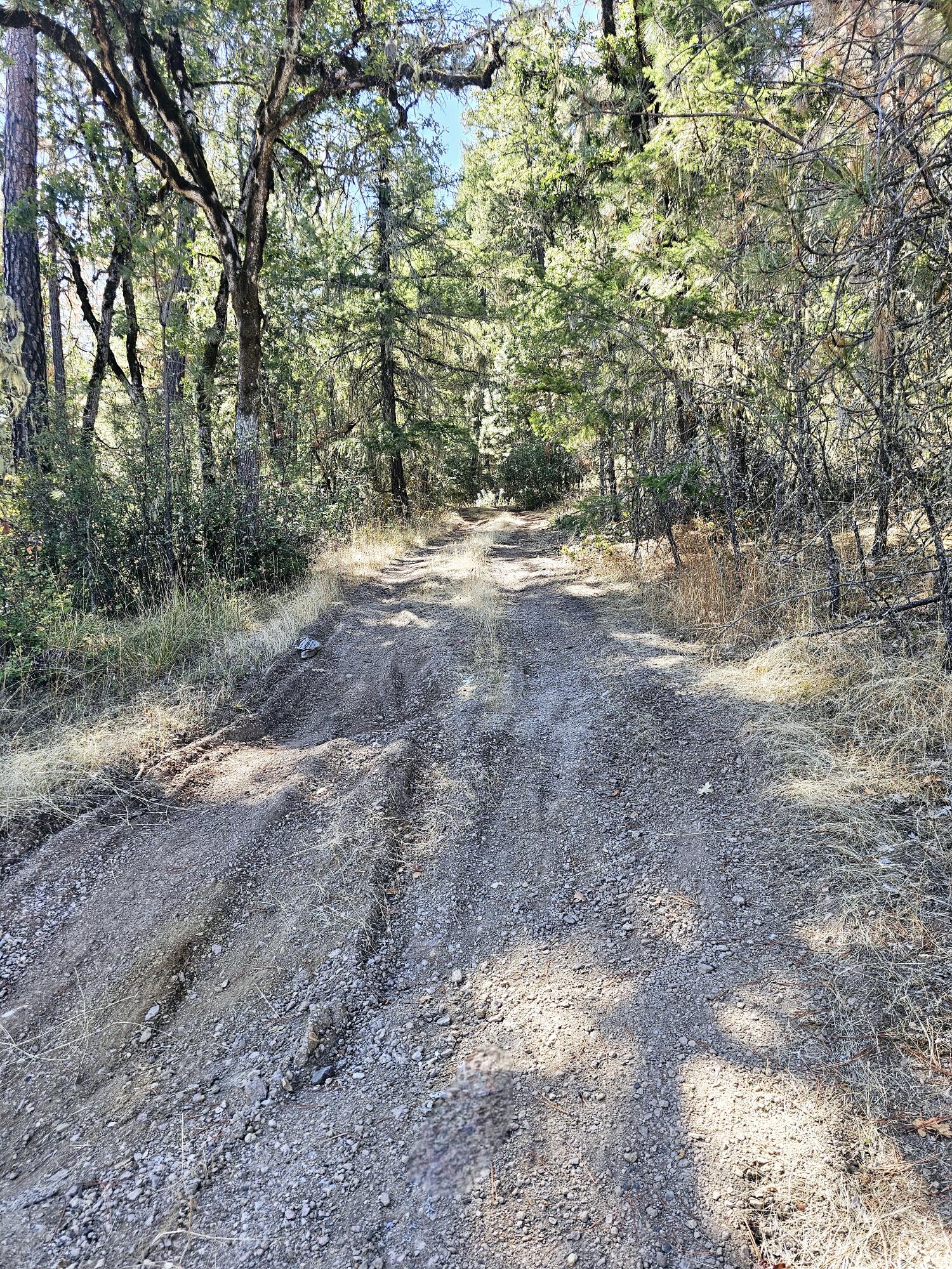 6531 Crowfoot Road Trail, OR 97541 - Photo 4 of 20 20240918_112254