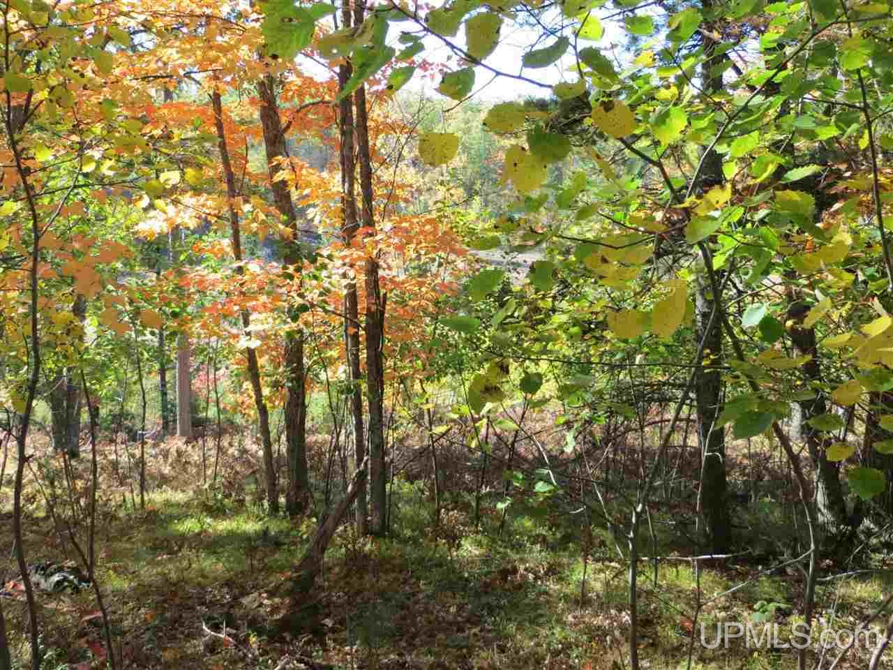 Tbd Co Rd Ff Republic, MI 49879 - Photo 17 of 29