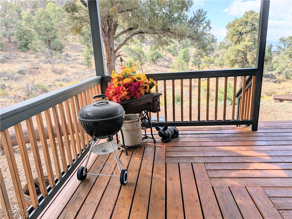 8320 Mother Lode Road Pioche, NV 89043 - Photo 11 of 46