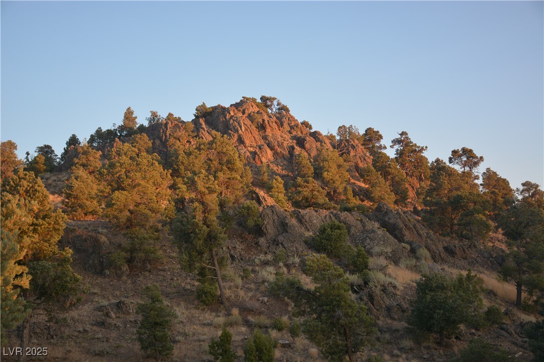 8320 Mother Lode Road Pioche, NV 89043 - Photo 20 of 46 View of mountain background
