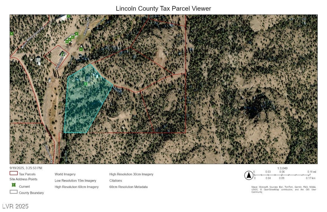 8320 Mother Lode Road Pioche, NV 89043 - Photo 40 of 46 Map / location with property boundaries highlighted
