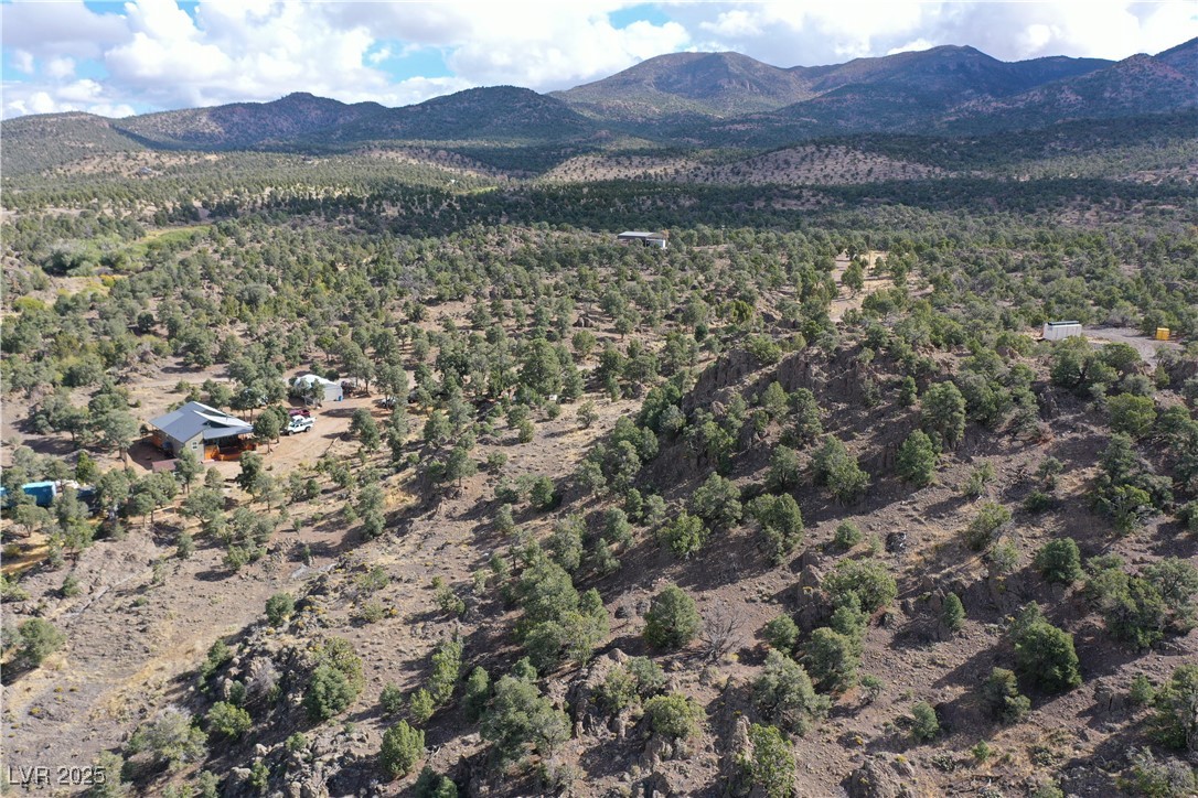 8320 Mother Lode Road Pioche, NV 89043 - Photo 44 of 46 View of property location with mountains and a forest
