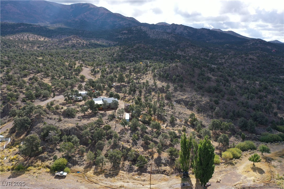8320 Mother Lode Road Pioche, NV 89043 - Photo 45 of 46 View of mountain background