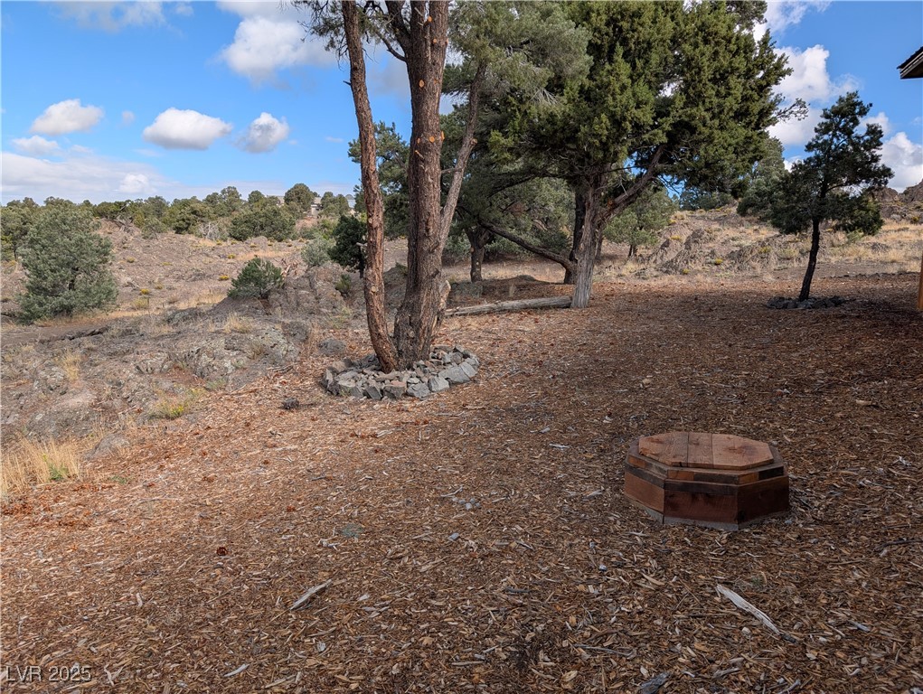 8320 Mother Lode Road Pioche, NV 89043 - Photo 9 of 46 View of backyard