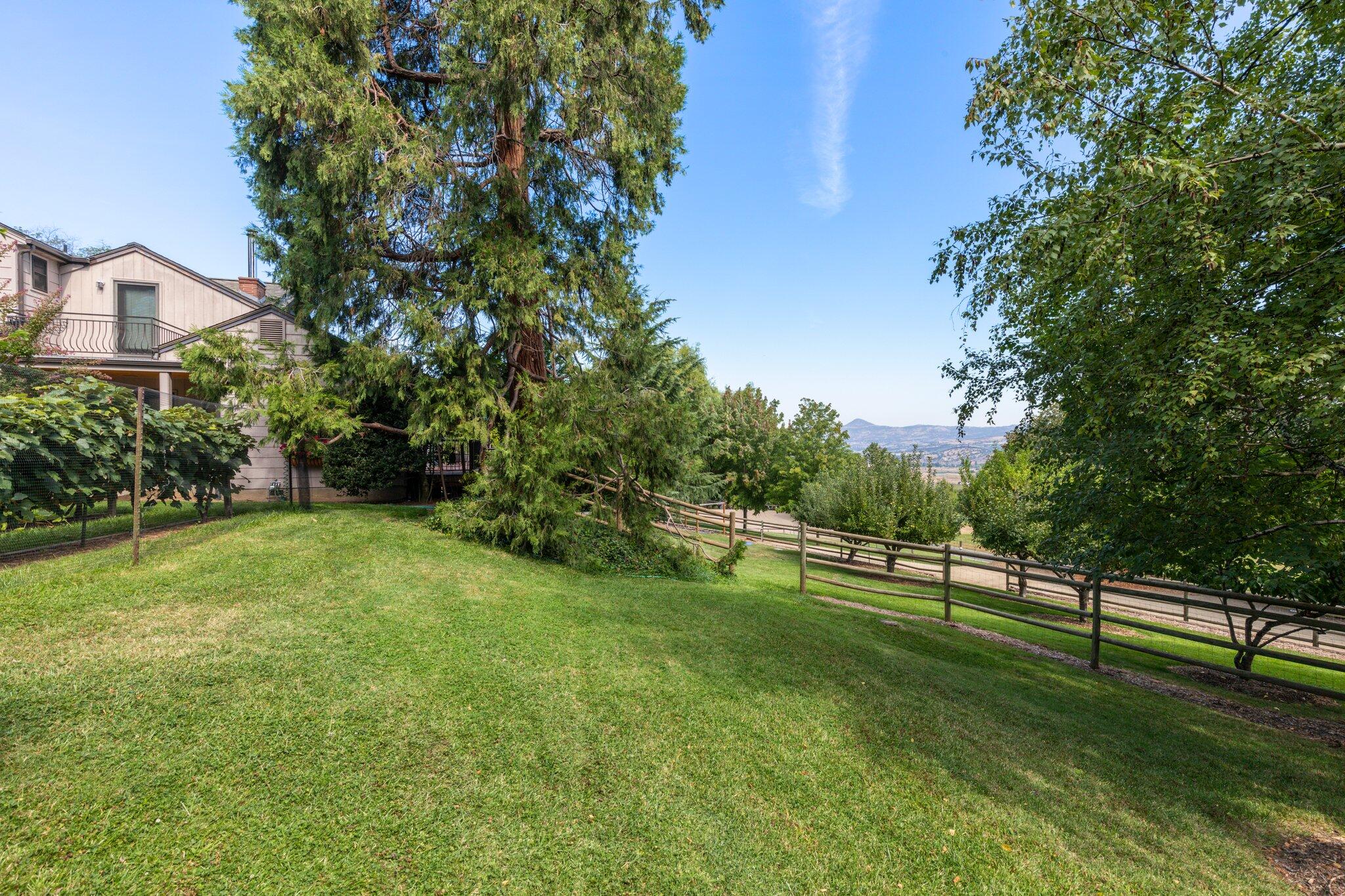 6062 Adams Road Talent, OR 97540 - Photo 25 of 75 4-web-or-mls-WCIL0188