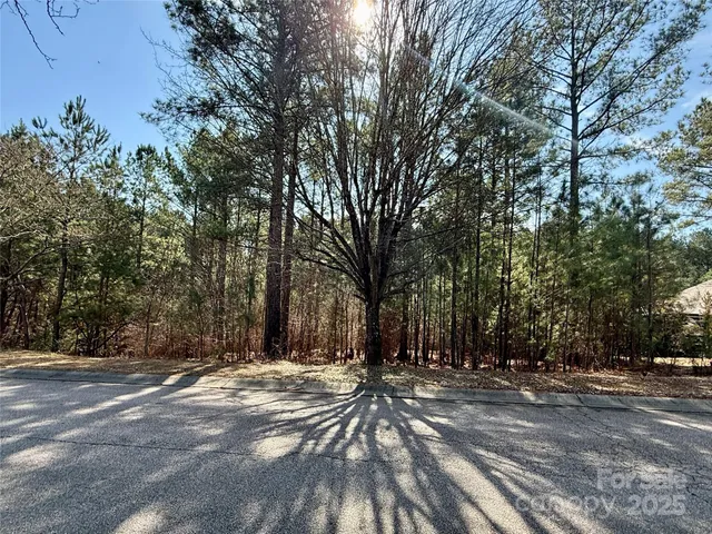 a view of outdoor space with trees