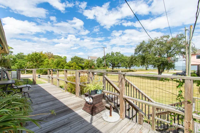 a view of a room with rack on the wall and a potted plant