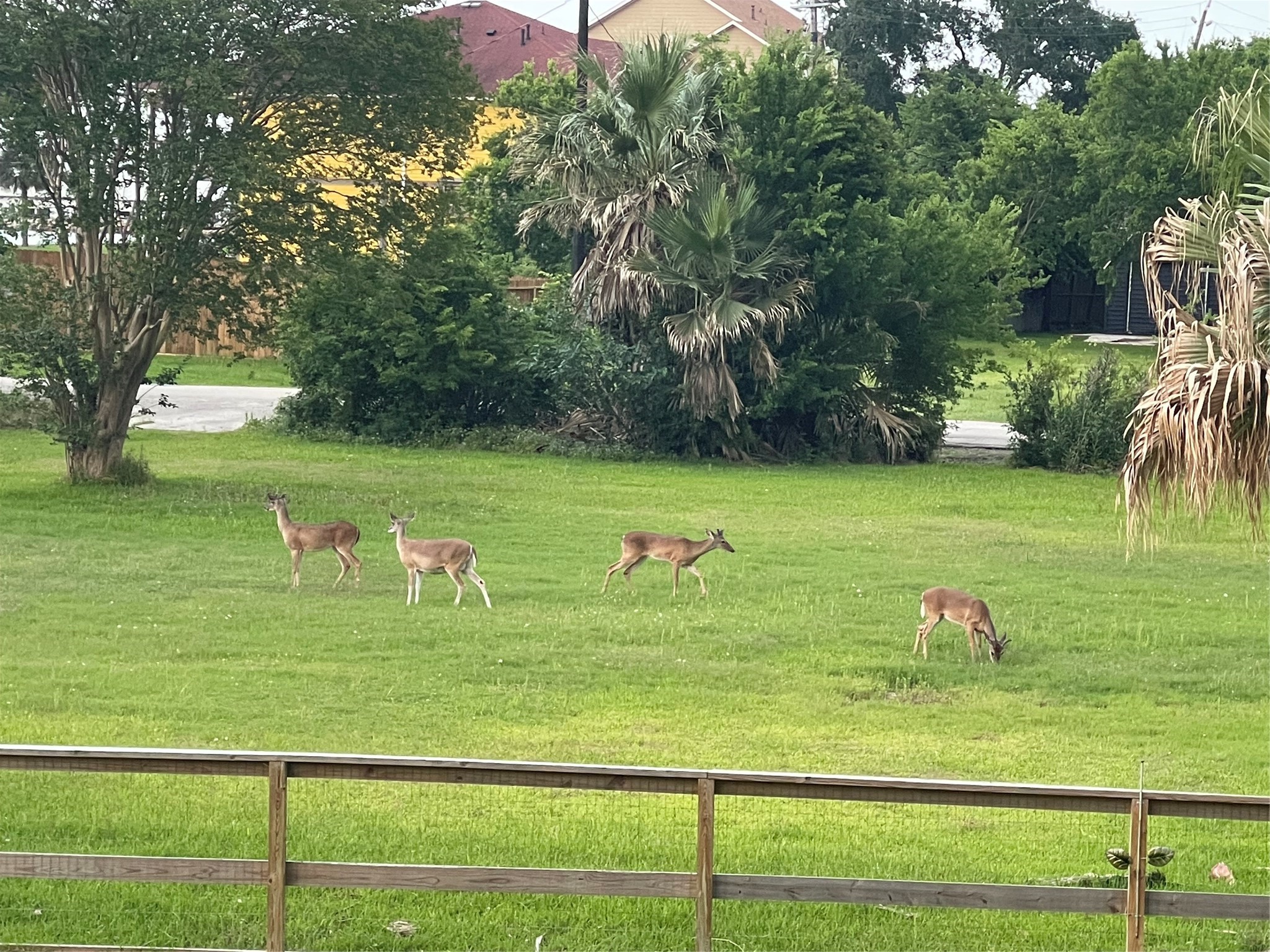 5 Shore Acres Circle Shoreacres, TX 77571 - Photo 35 of 38 a view of a golf course with a yard
