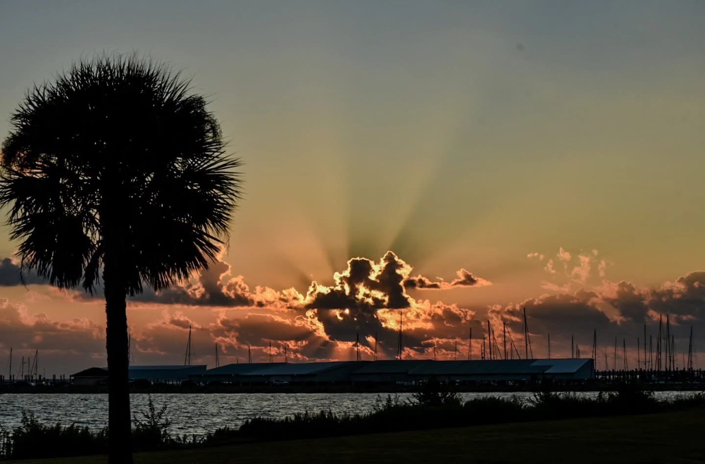 5 Shore Acres Circle Shoreacres, TX 77571 - Photo 38 of 38