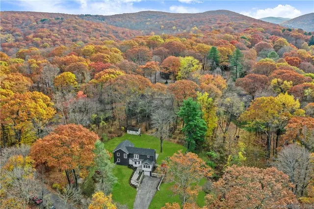 a view of a city with mountains in the background