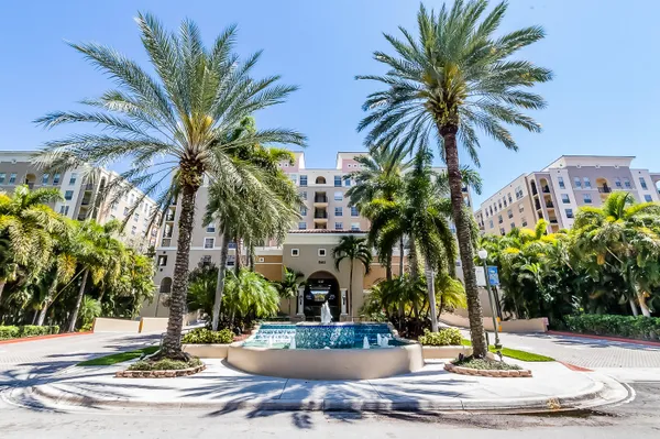 a view of a palm tree with palm trees