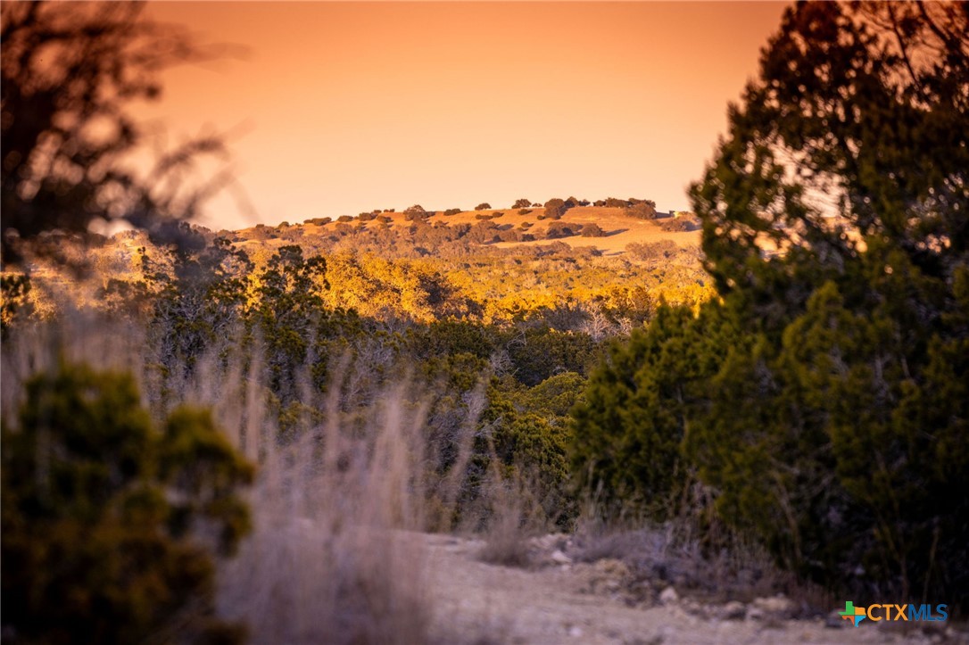 Tbd Steitle Road Fredericksburg, TX 78624 - Photo 1 of 1 Gallery Image 1
