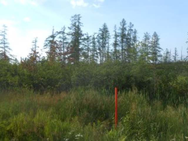 On Dynamite Road Fifield, WI 54524 - Photo 2 of 8 Gallery Image 2