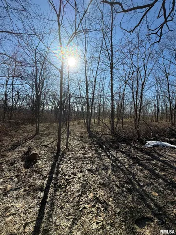 $499,900 | 14552 Highway 100, Browning, IL 62624