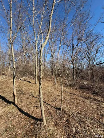 $489,900 | 14552 Highway 100, Browning, IL 62624