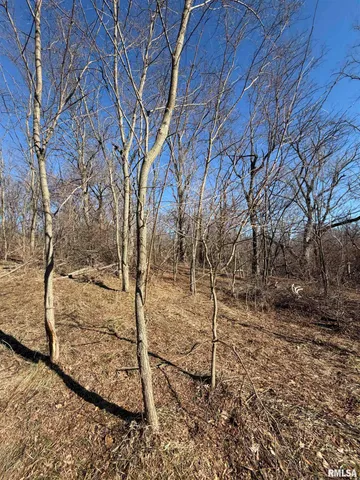 $499,900 | 14552 Highway 100, Browning, IL 62624