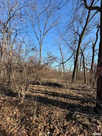 $489,900 | 14552 Highway 100, Browning, IL 62624