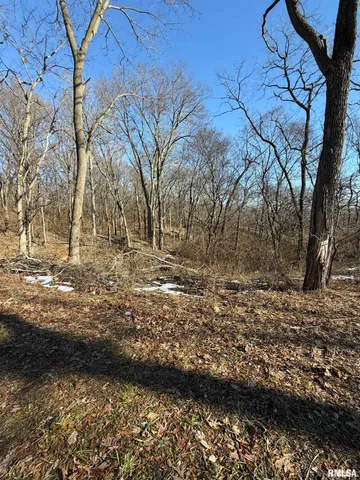 $499,900 | 14552 Highway 100, Browning, IL 62624